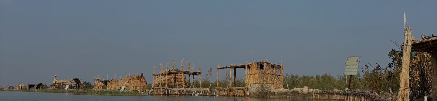 contactForm.publications.title